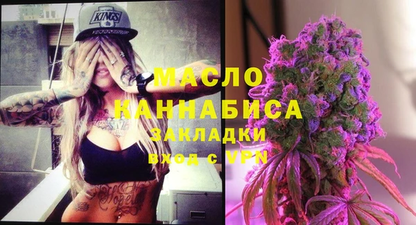 мдпв Михайлов