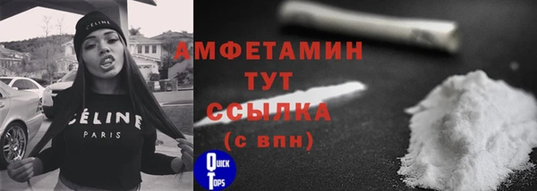 мдпв Михайлов