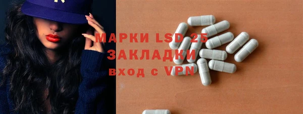 мдпв Михайлов