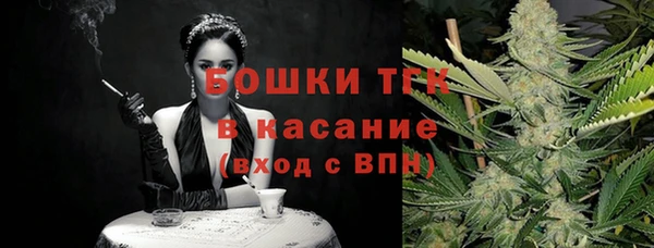 мдпв Михайлов