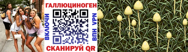 Купить  Дудинка  Галлюциногенные грибы прущие грибы 